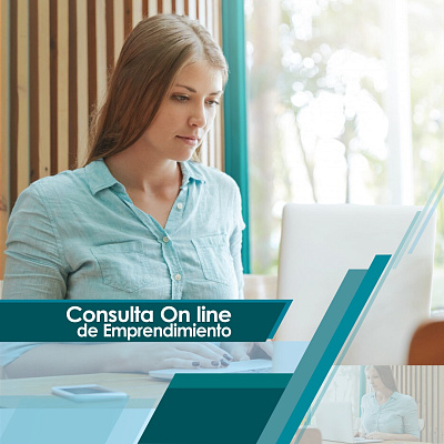 Consulta Online de Emprendimiento 